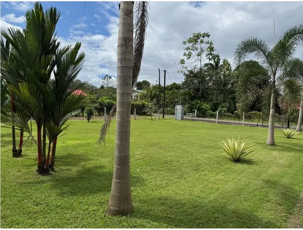 a view of a golf course with a tree