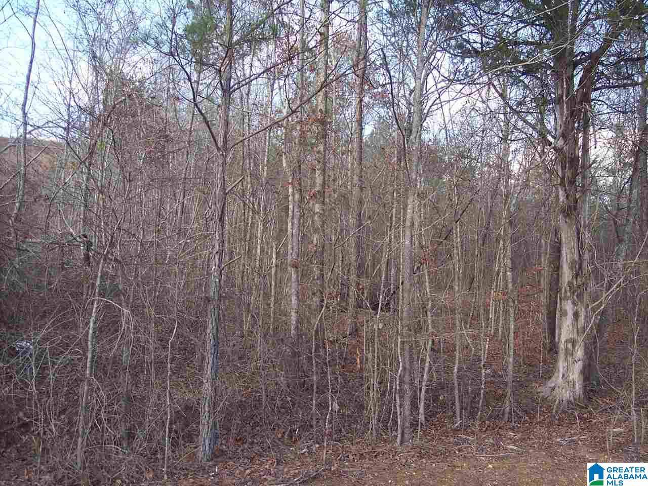 4 Dripping Rock Road, Unit 4 Piedmont, AL 36272 - Photo 5 of 12