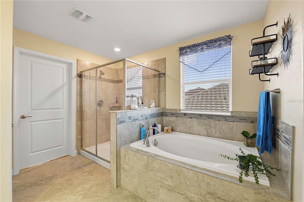 12041 Cardinal Flower Drive Riverview, FL 33579 - Photo 17 of 58 a bathroom with a bathtub and a shower