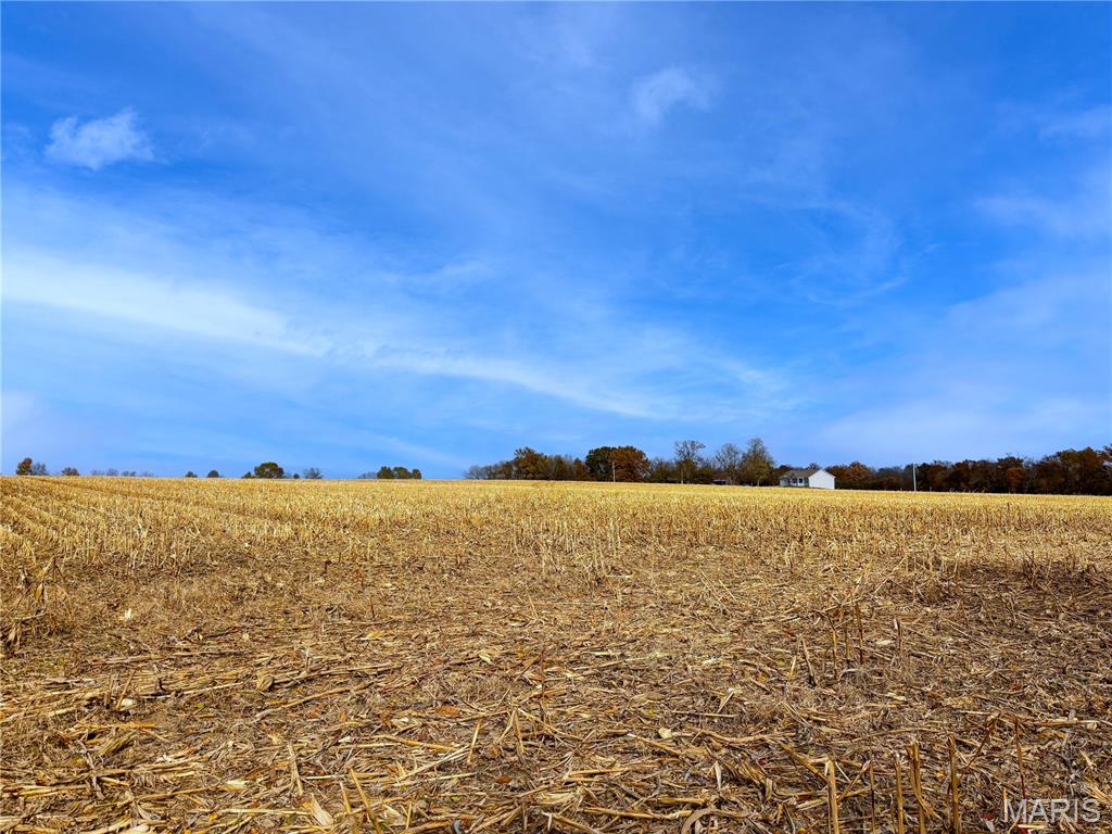 20.73-acres Stamer Road Wright City, MO 63390 - Photo 5 of 7