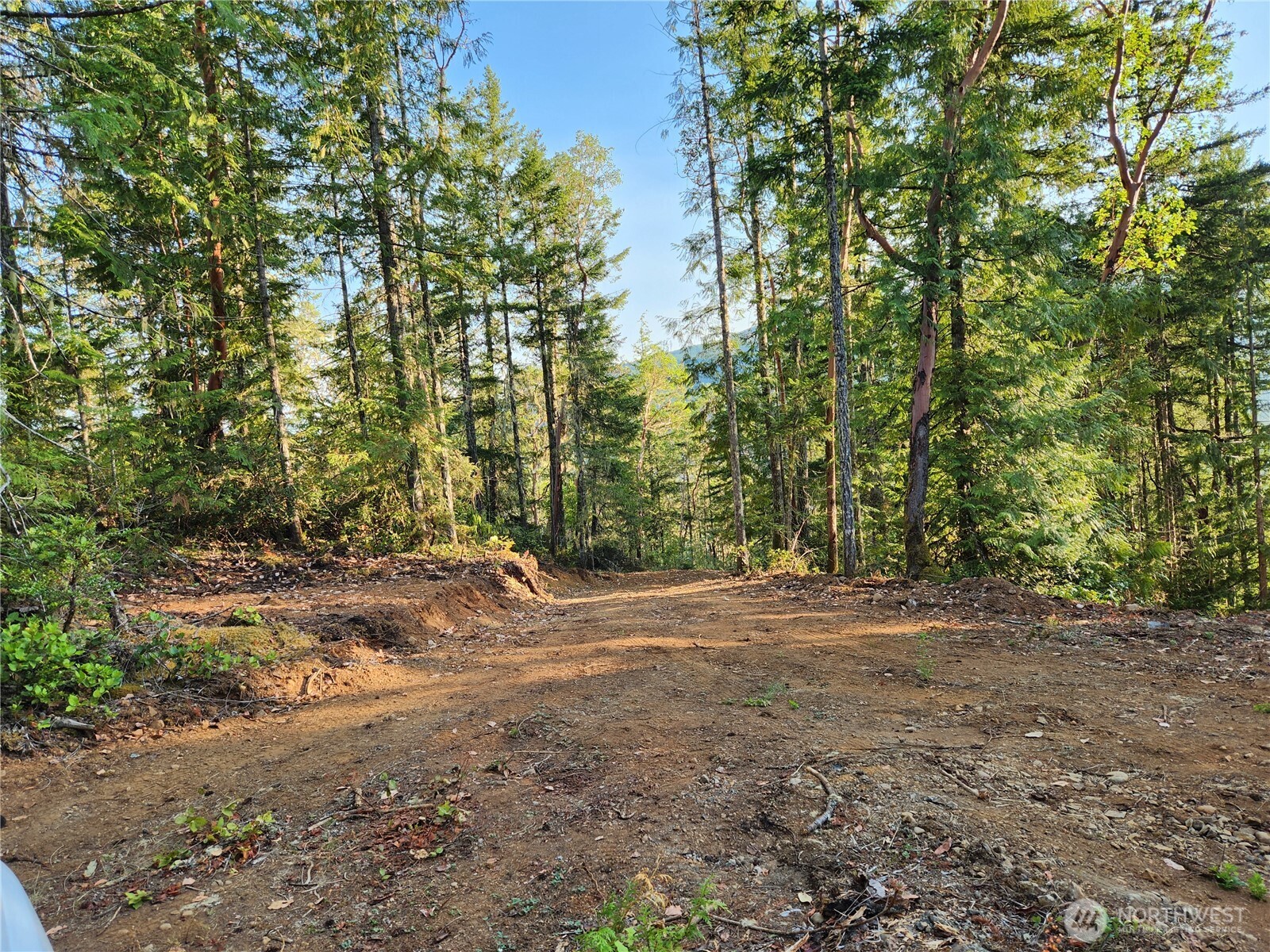 0 Rocky Brook Road, Unit LOT J Brinnon, WA 98320 - Photo 4 of 9 a view of a yard with a tree