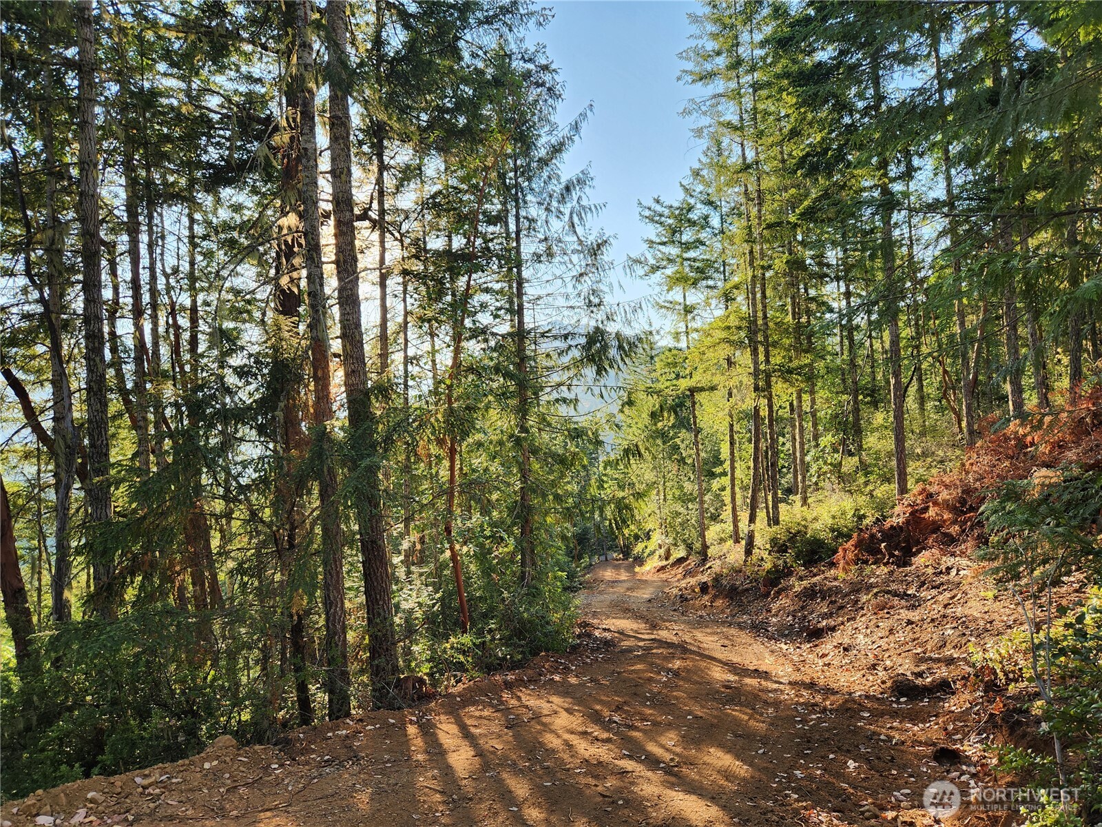 0 Rocky Brook Road, Unit LOT J Brinnon, WA 98320 - Photo 5 of 9 a view of backyard with green space