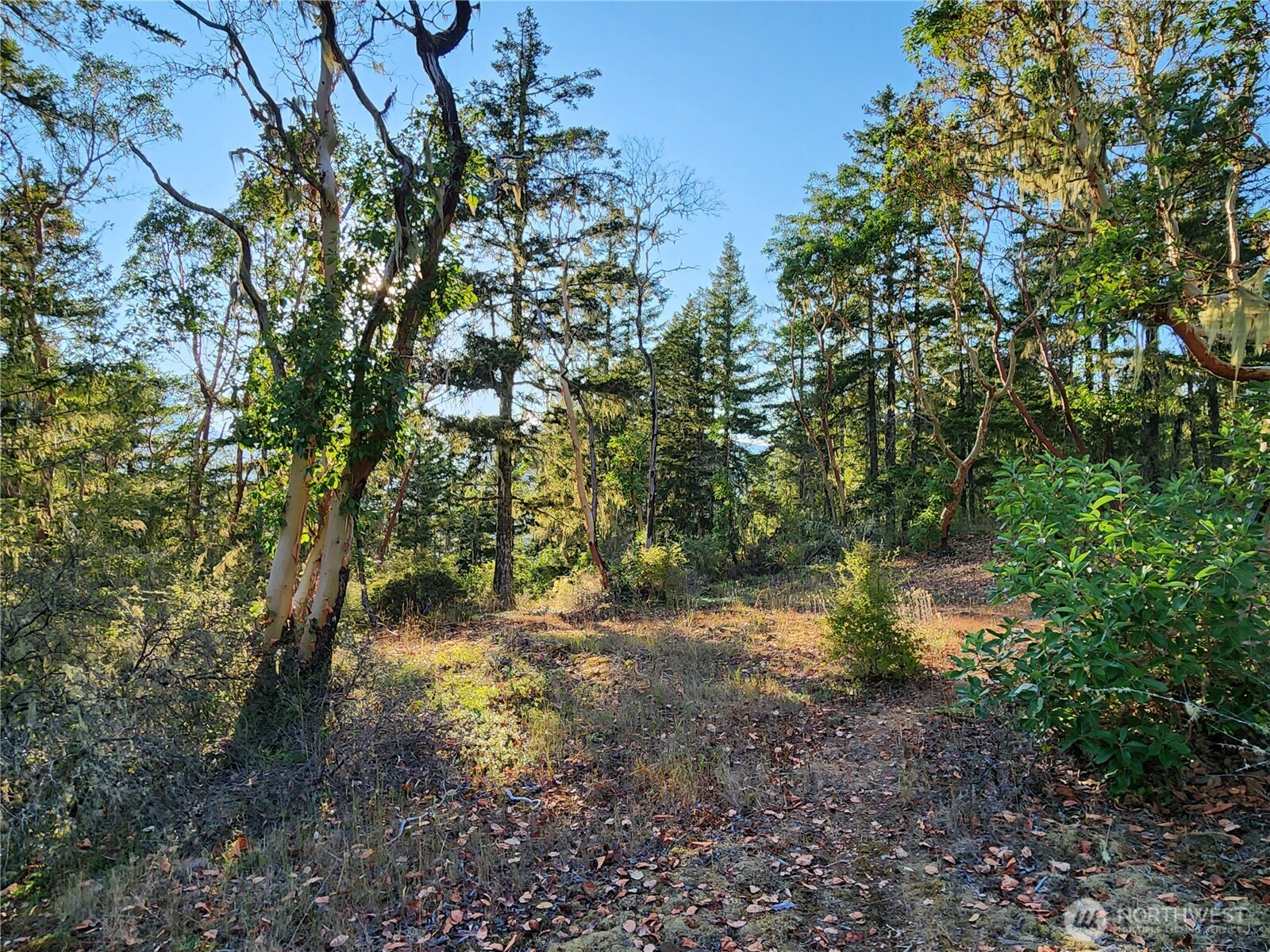 0 Rocky Brook Road, Unit LOT J Brinnon, WA 98320 - Photo 6 of 9 a backyard of a house with lots of green space