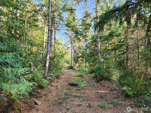 a big yard with lots of green space and trees