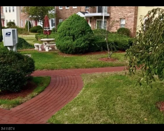 a view of a backyard with potted plants and large trees