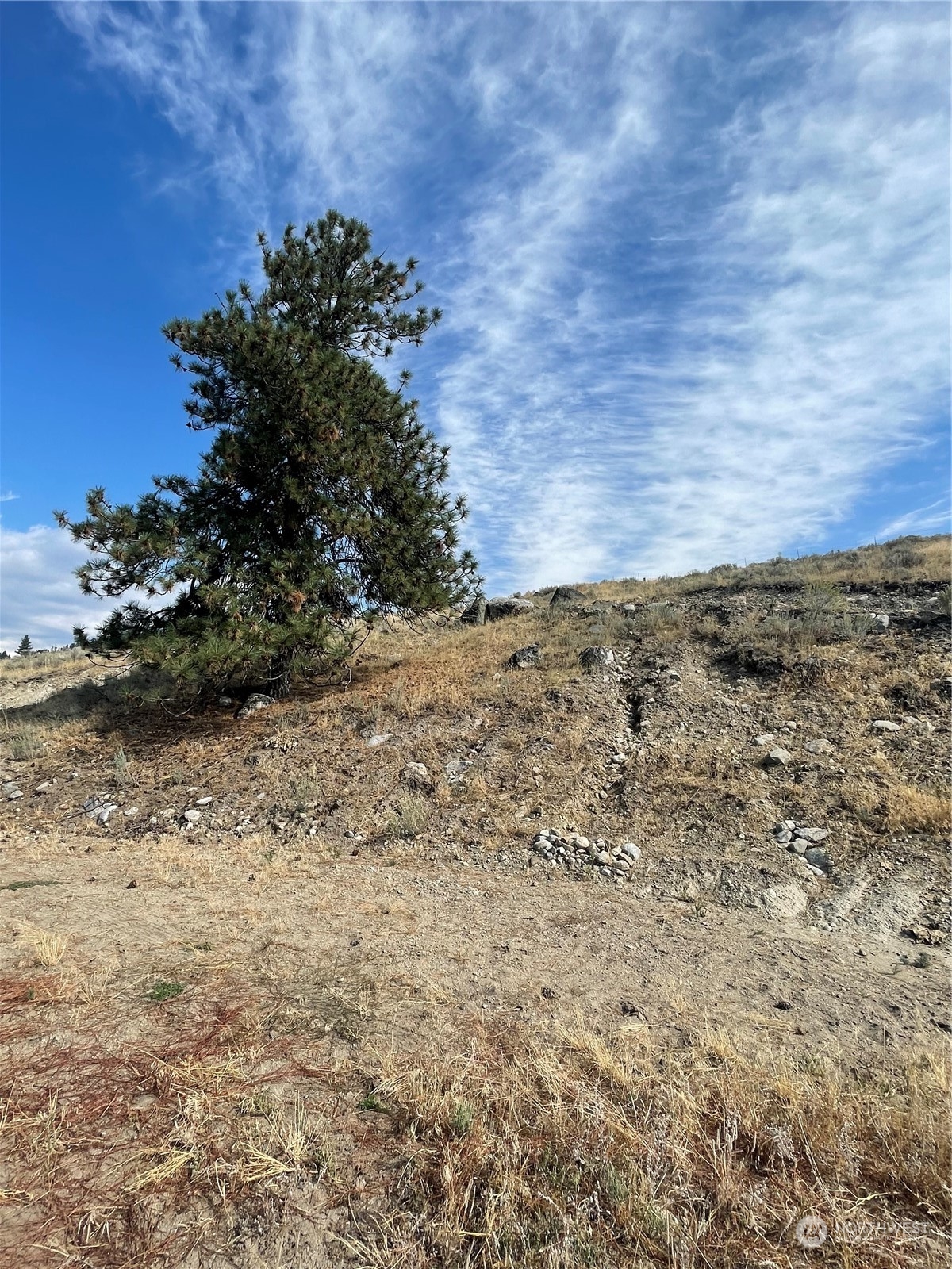 1111 Rocky Ridge Road Tonasket, WA 98855 - Photo 17 of 17 a view of a yard
