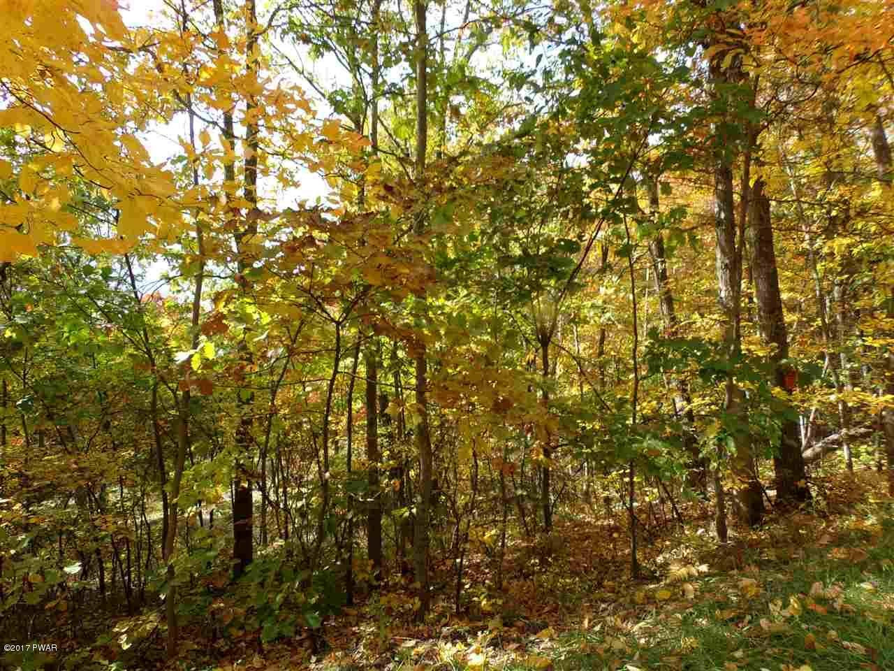 Lot 6.82 Lenni Lenape Road Narrowsburg, NY 12764 - Photo 2 of 17
