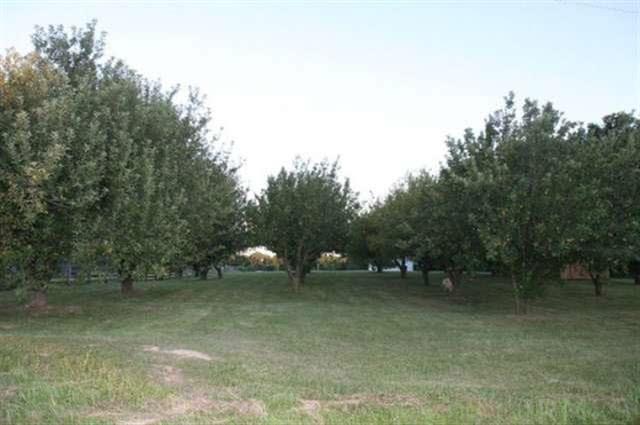 5664 West Kansas Church Road Salem, IN 47167 - Photo 8 of 15