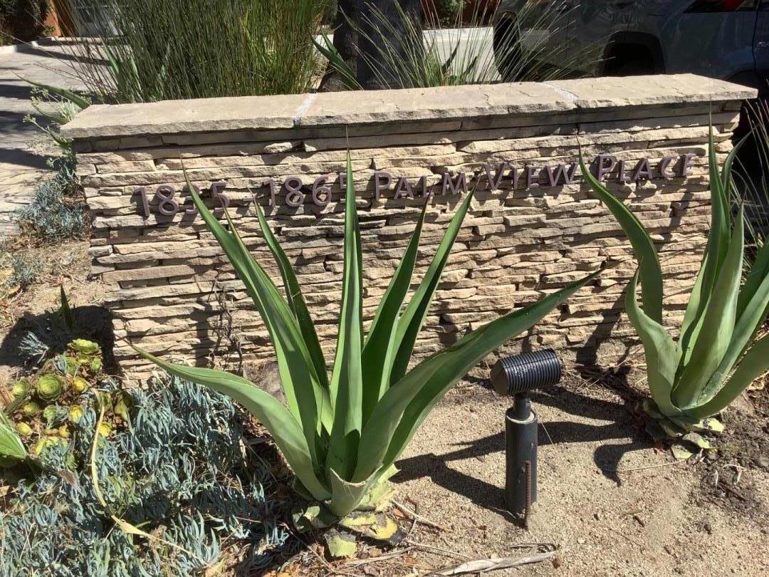1855 Palm View Place, Unit 123 Santa Clara, CA 95050 - Photo 3 of 18 a view of a backyard with plants