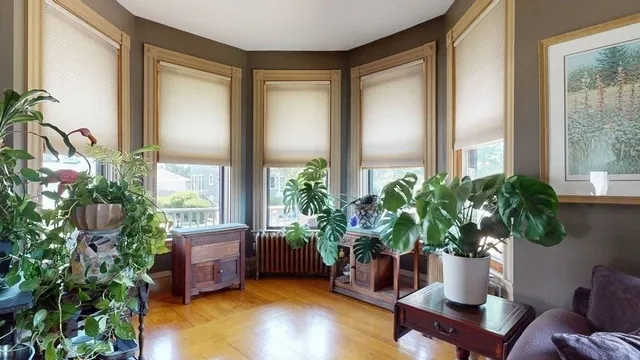 a living room with furniture potted plant and a window