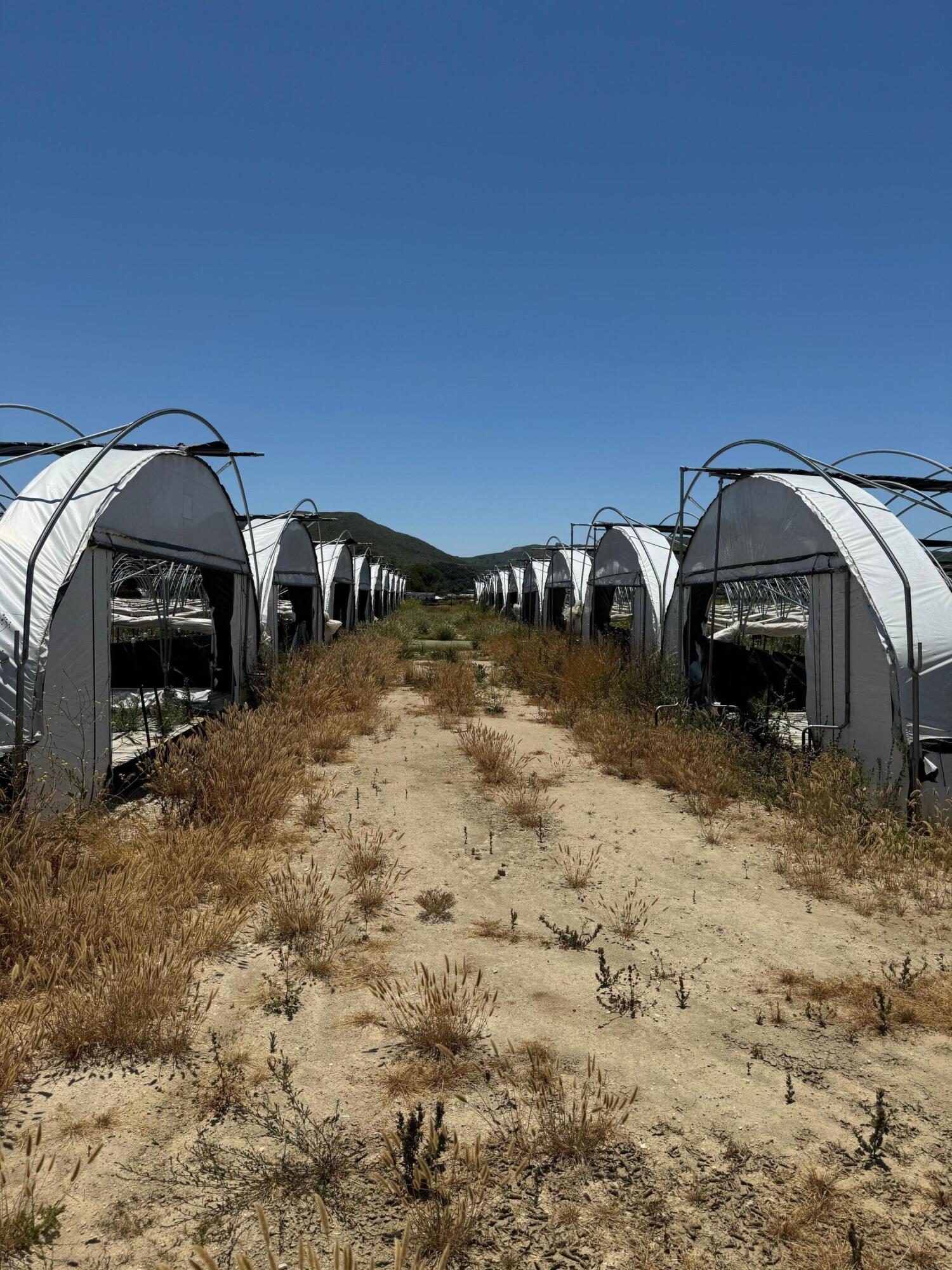 801-851 Highway 246 Lompoc, CA 93436 - Photo 14 of 37 Hoop Parcel Through Road