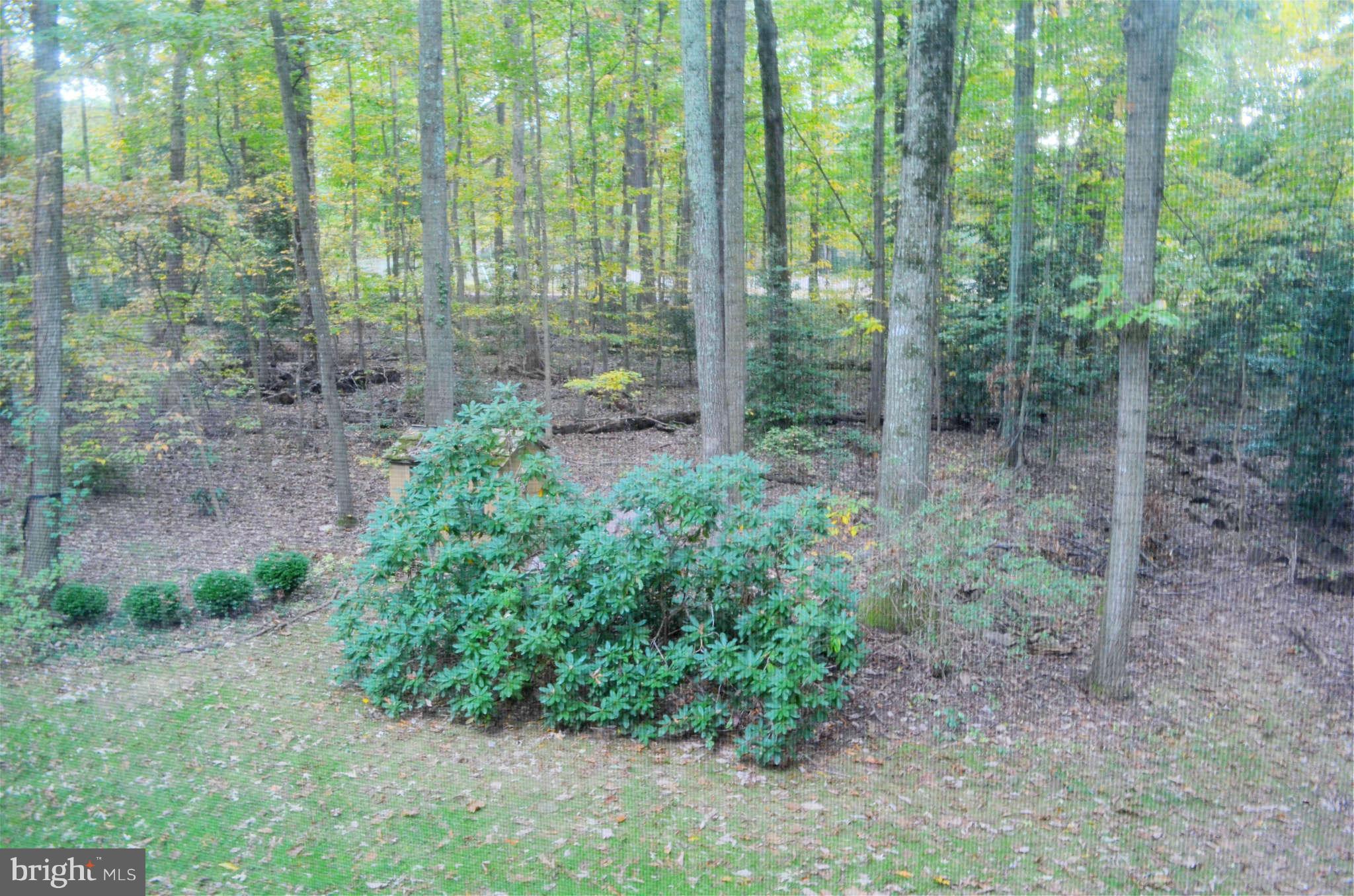 12011 Whip Road Reston, VA 20191 - Photo 23 of 23 Exterior (General)
