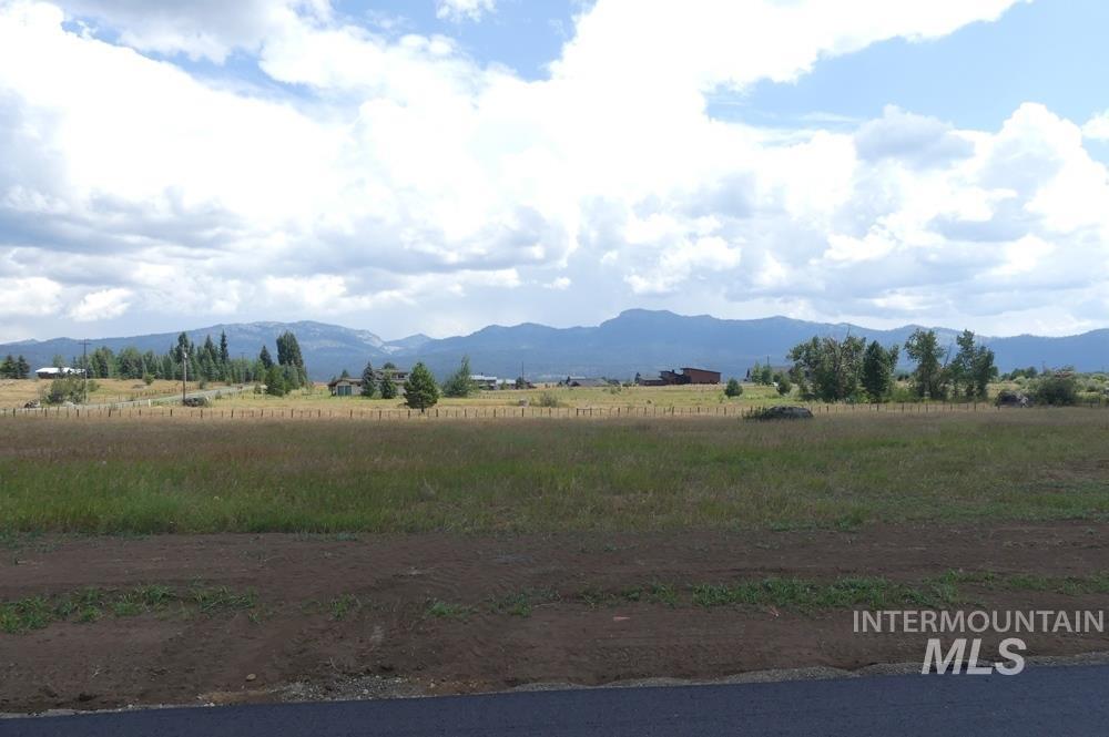 Lot 5 Springer Court McCall, ID 83638 - Photo 4 of 13