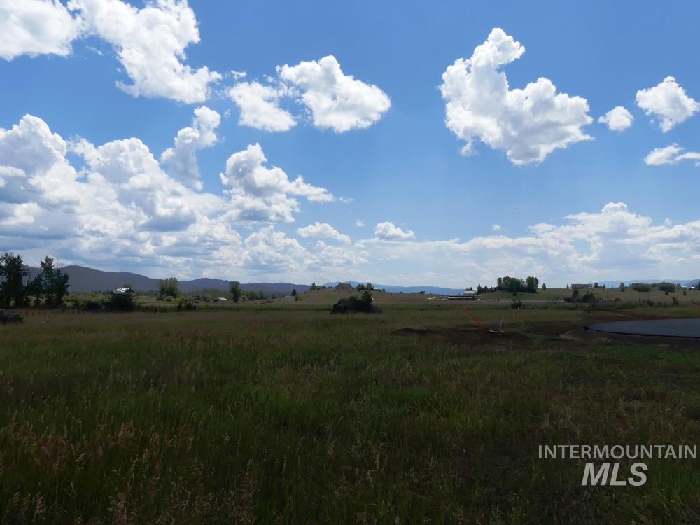 Lot 5 Springer Court McCall, ID 83638 - Photo 6 of 13