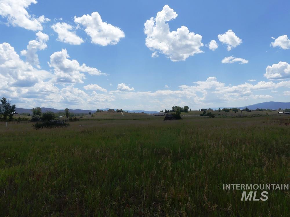 Lot 5 Springer Court McCall, ID 83638 - Photo 8 of 13