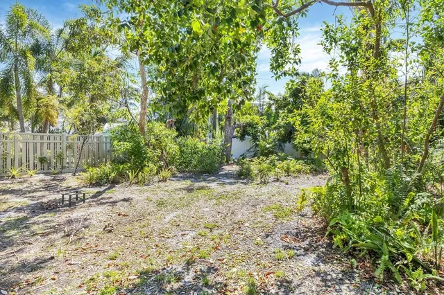 a view of a yard with plants and trees