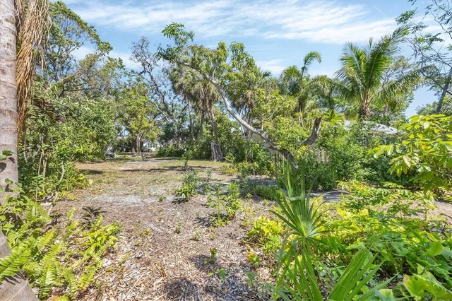 a view of a tree in the middle of a yard
