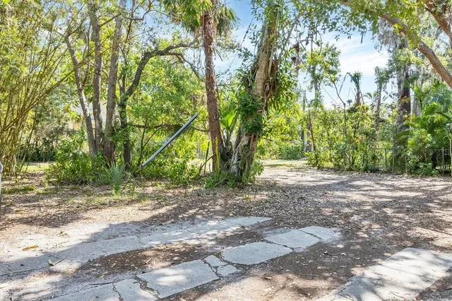 a view of a dirt road with trees