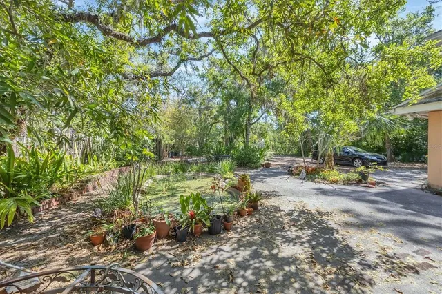 a view of yard with trees