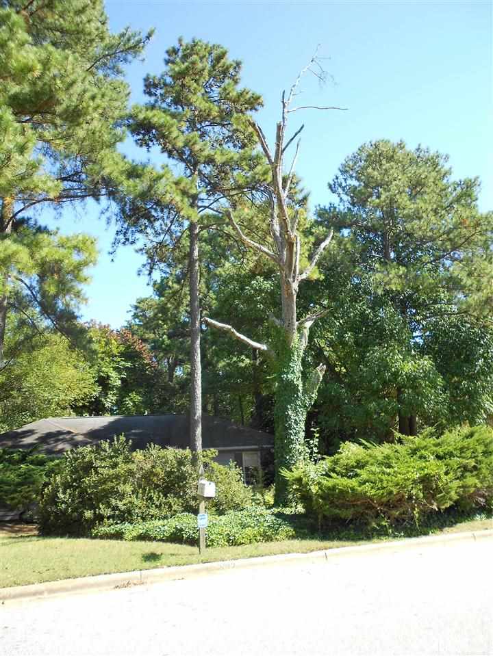 3012 Old Orchard Road Raleigh, NC 27607 - Photo 3 of 3