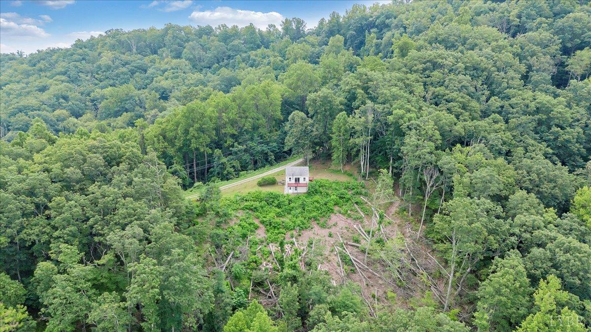 759 Grant's Hollow Road Monroe, VA 24574 - Photo 56 of 85 Gallery Image 56