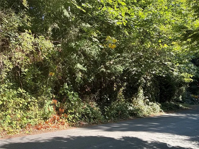 a view of a street with a trees