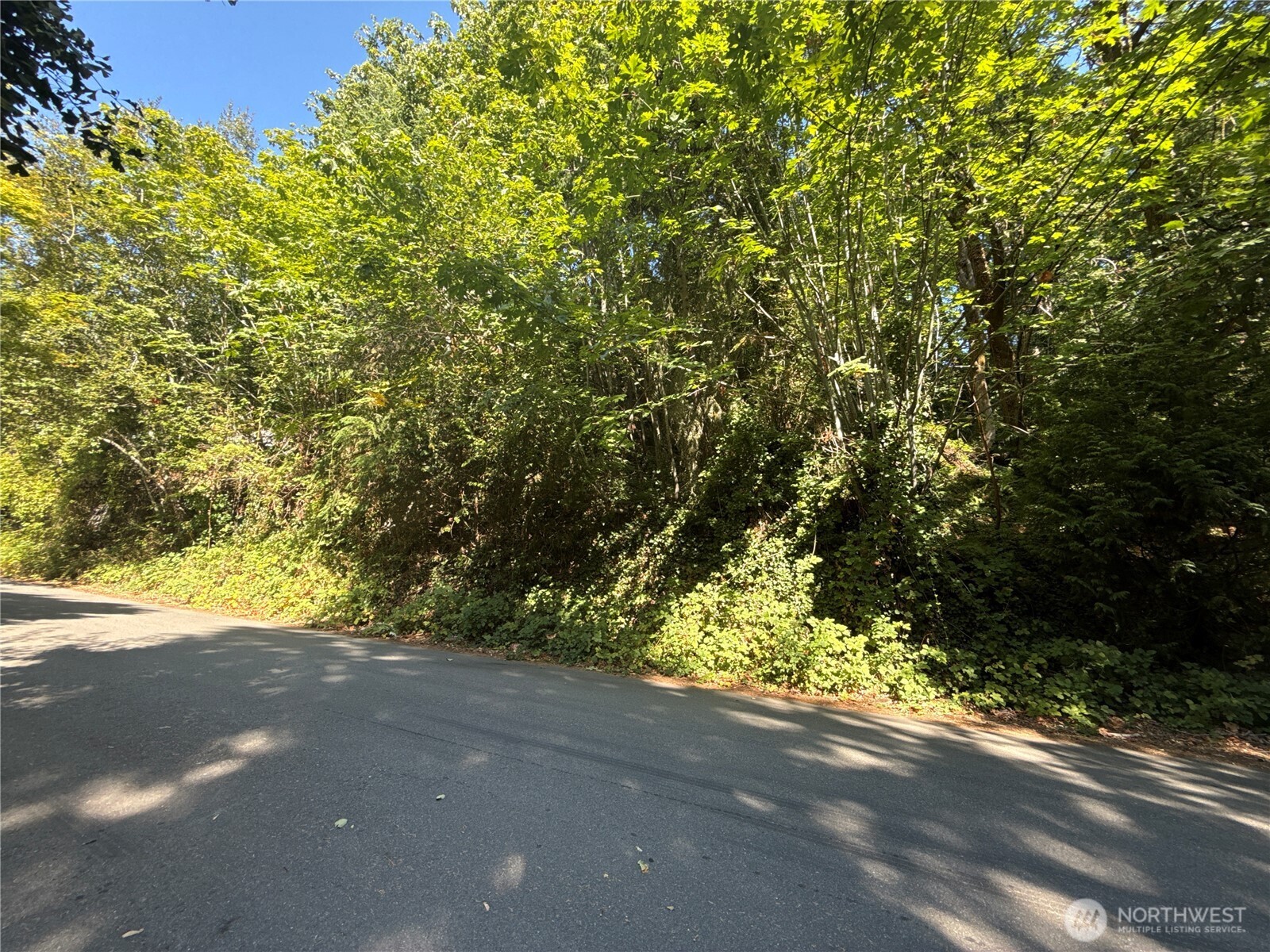 9458 Southeast 47th Street Mercer Island, WA 98040 - Photo 12 of 20 a view of a street with a trees