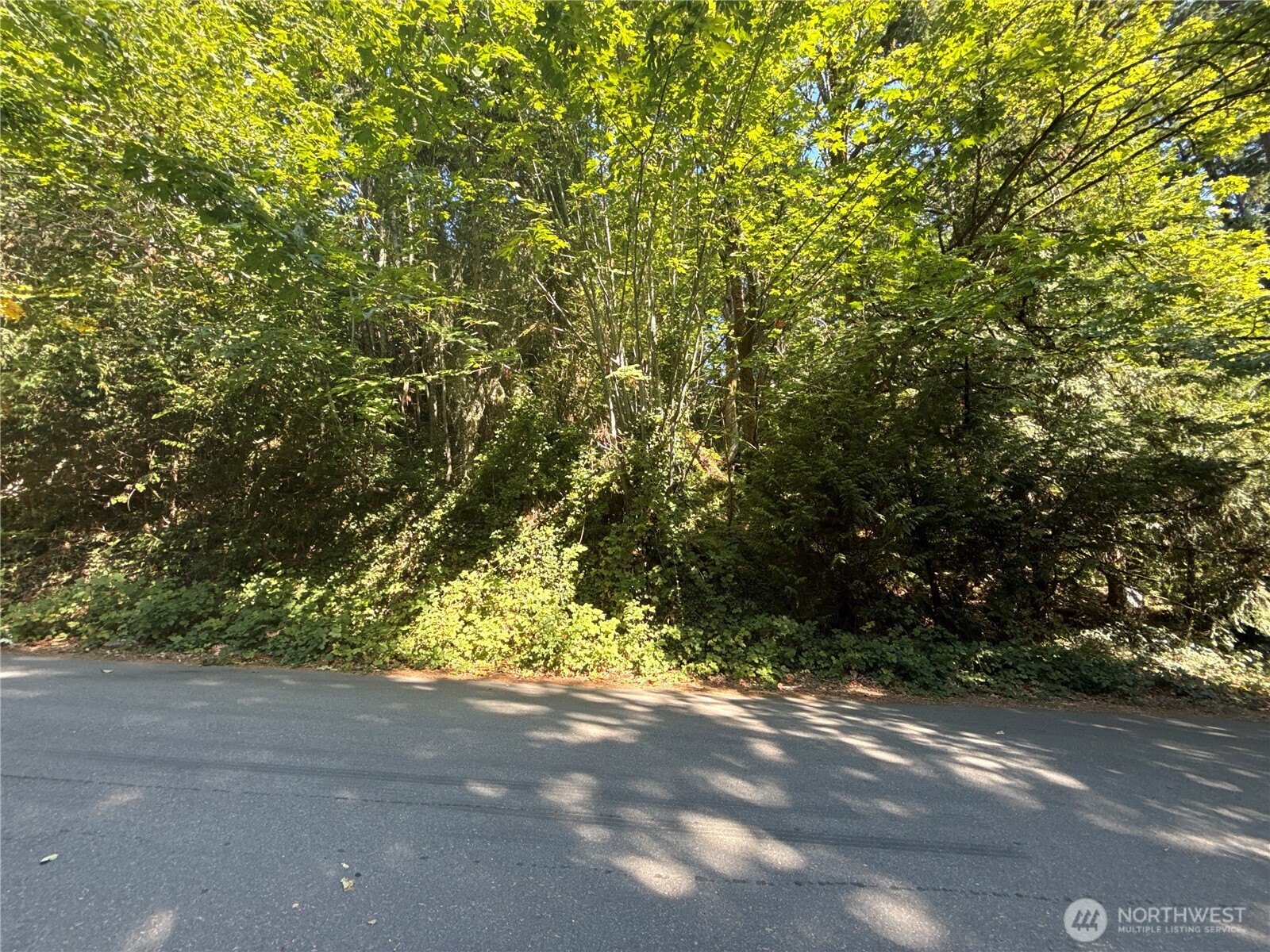 9458 Southeast 47th Street Mercer Island, WA 98040 - Photo 13 of 20 a view of road and trees