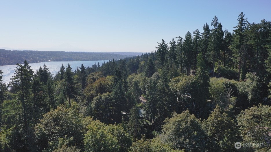 9458 Southeast 47th Street Mercer Island, WA 98040 - Photo 7 of 20 a view of a city with lush green forest