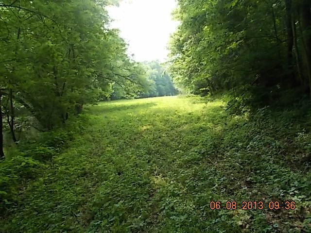 1281 Drydock Road Lawrenceburg, KY 40342 - Photo 16 of 20 Photo 16