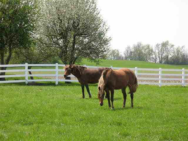 12881 South Old Road Springport, IN 47386 - Photo 24 of 24