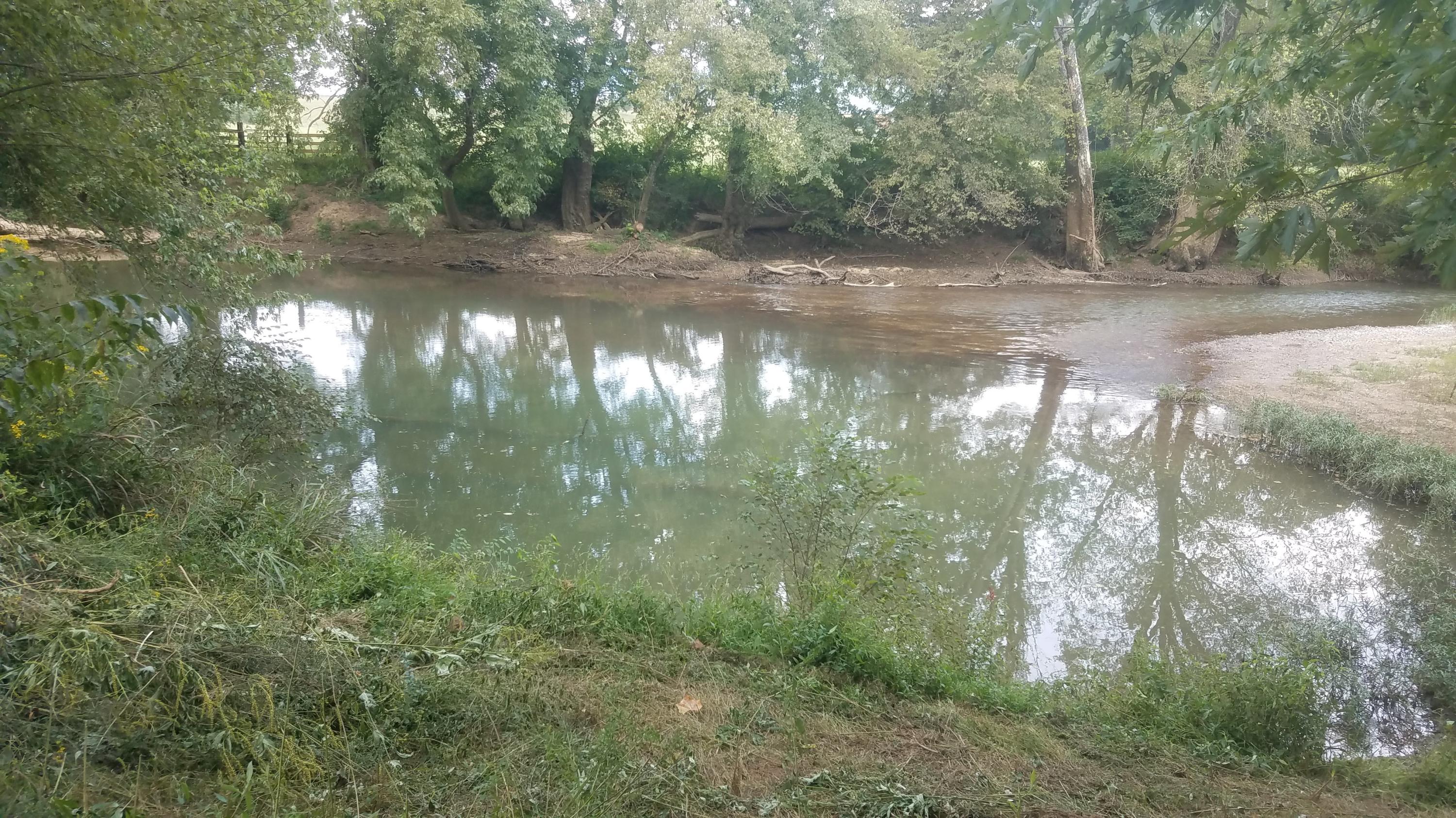 1416 Hudlow Road Dunlap, TN 37327 - Photo 30 of 33 Nature @ it's finest