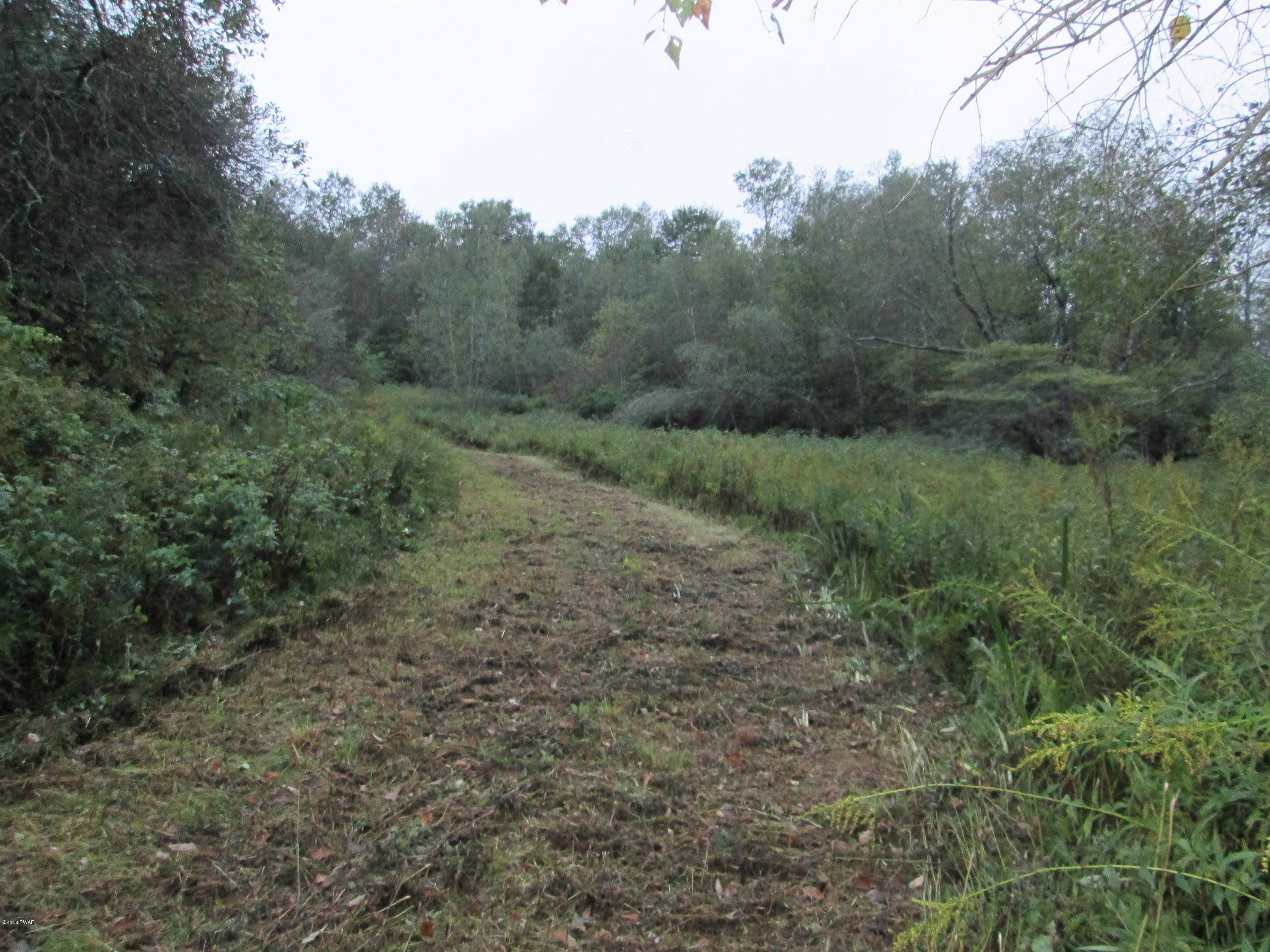 Starrucca Creek Road Susquehanna, PA 18847 - Photo 6 of 11