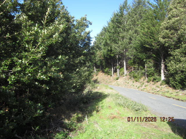 2715 Toth Road Shelter Cove, CA 95589 - Photo 27 of 27 IMG_0784