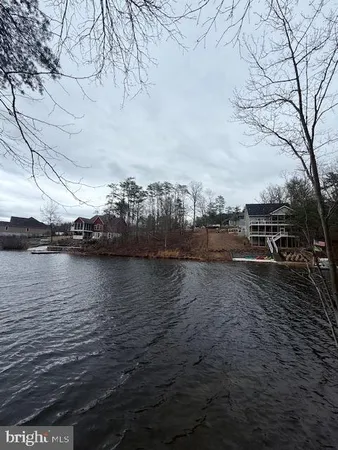 a view of a yard with trees