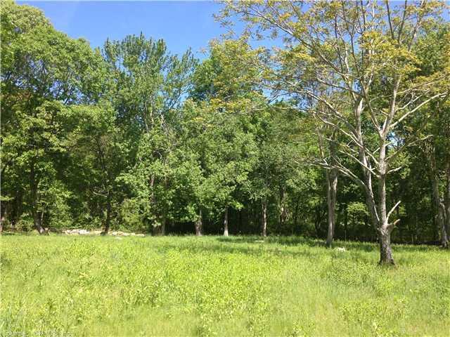 119 Fishtown Road Groton, CT 06355 - Photo 1 of 1 a view of outdoor space with deck and yard