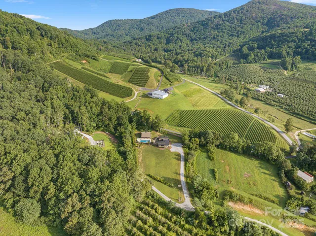 $2,495,000 | 1138 Green Mountain Road, Hendersonville, NC 28792
