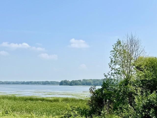 5795 Otter Lake Road St. Paul, MN 55110 - Photo 4 of 59