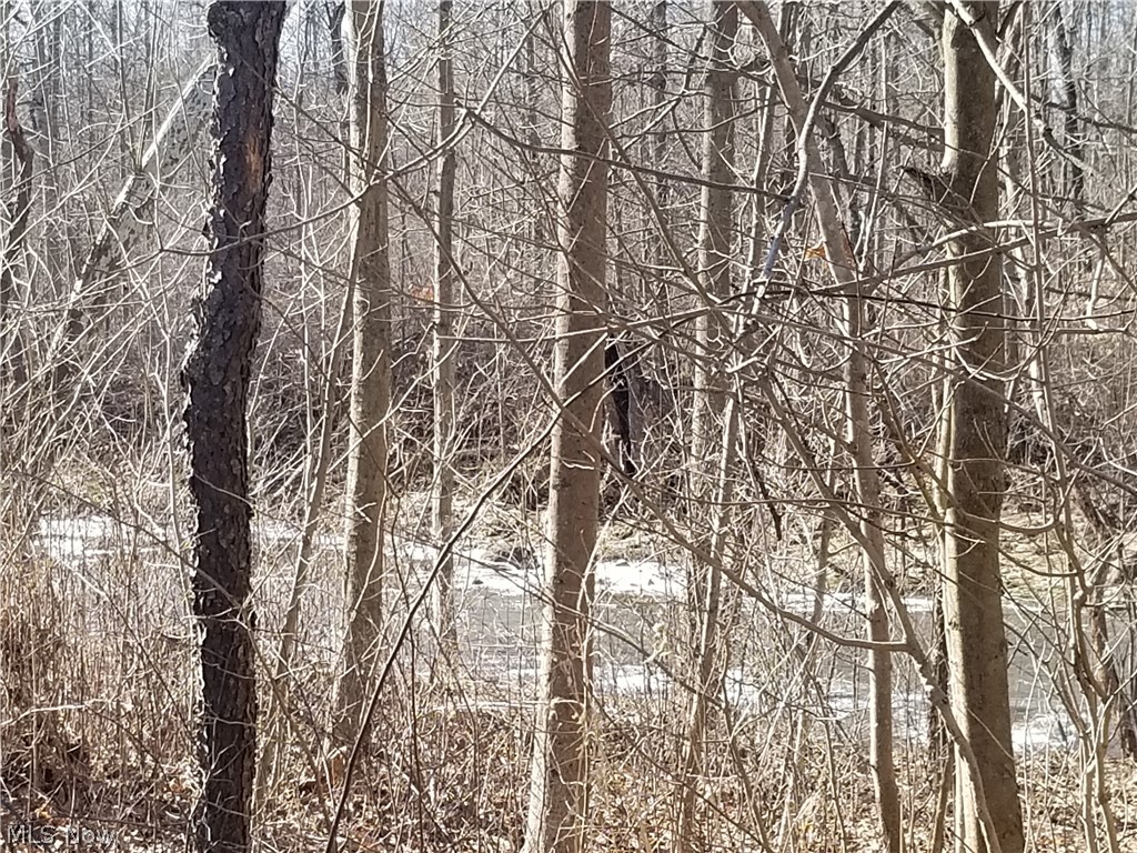 0 Custer Orangeville Road Masury, OH 44438 - Photo 9 of 14 Gallery Image 9