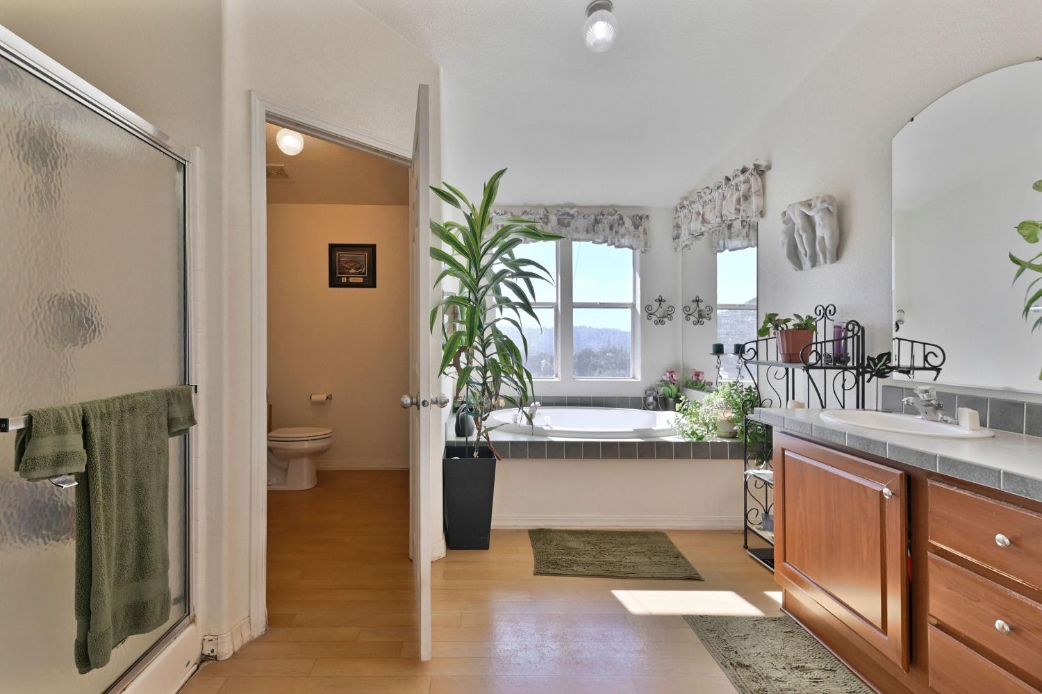 3770 Sheep Ranch Road Murphys, CA 95247 - Photo 24 of 92