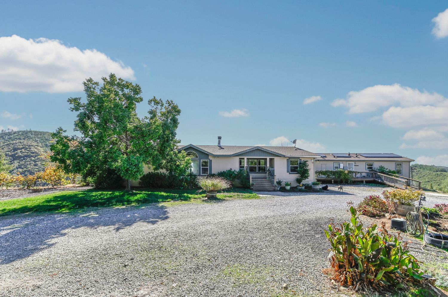 3770 Sheep Ranch Road Murphys, CA 95247 - Photo 40 of 92 a front view of a house with a yard and trees