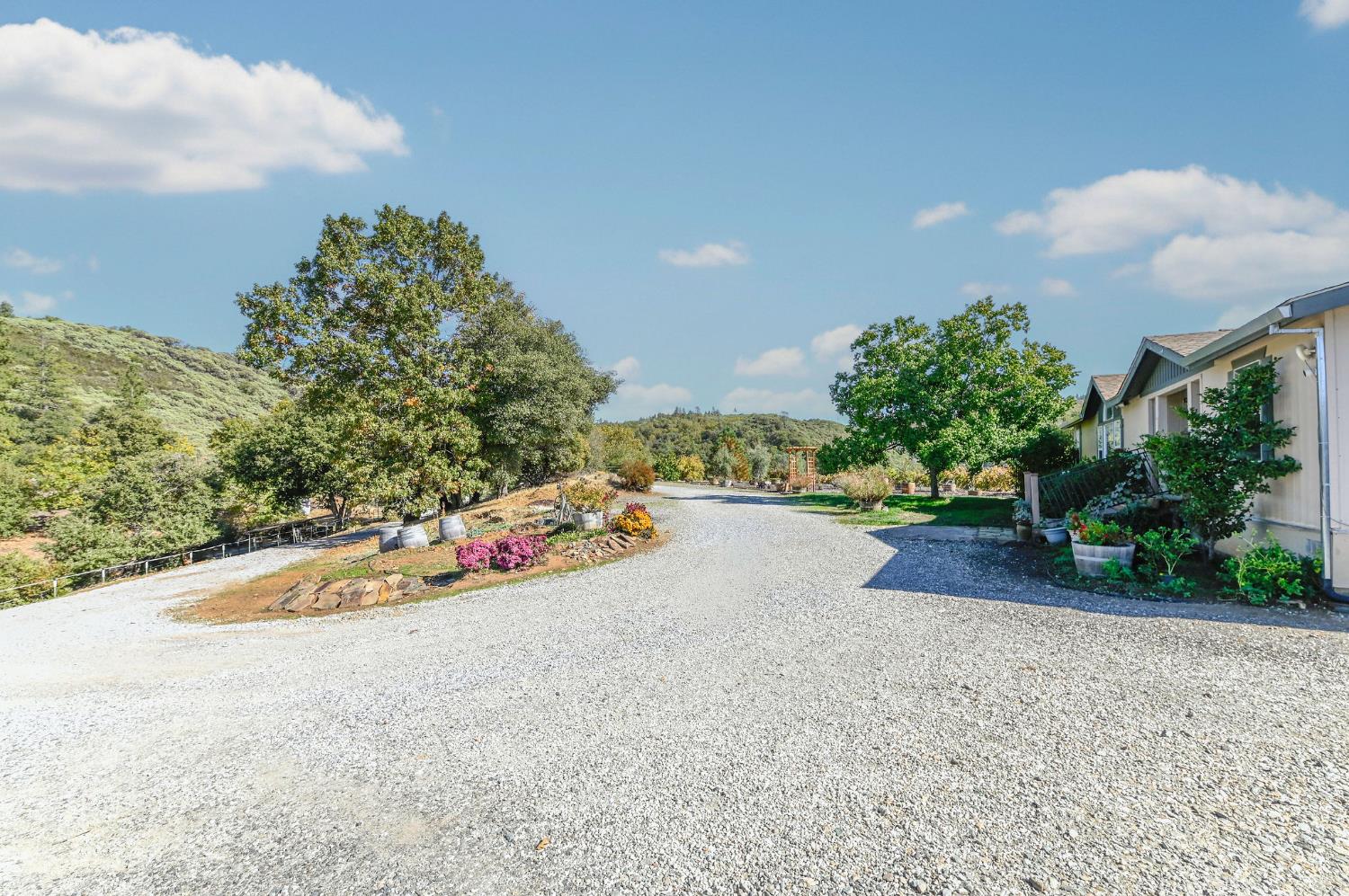 3770 Sheep Ranch Road Murphys, CA 95247 - Photo 43 of 92