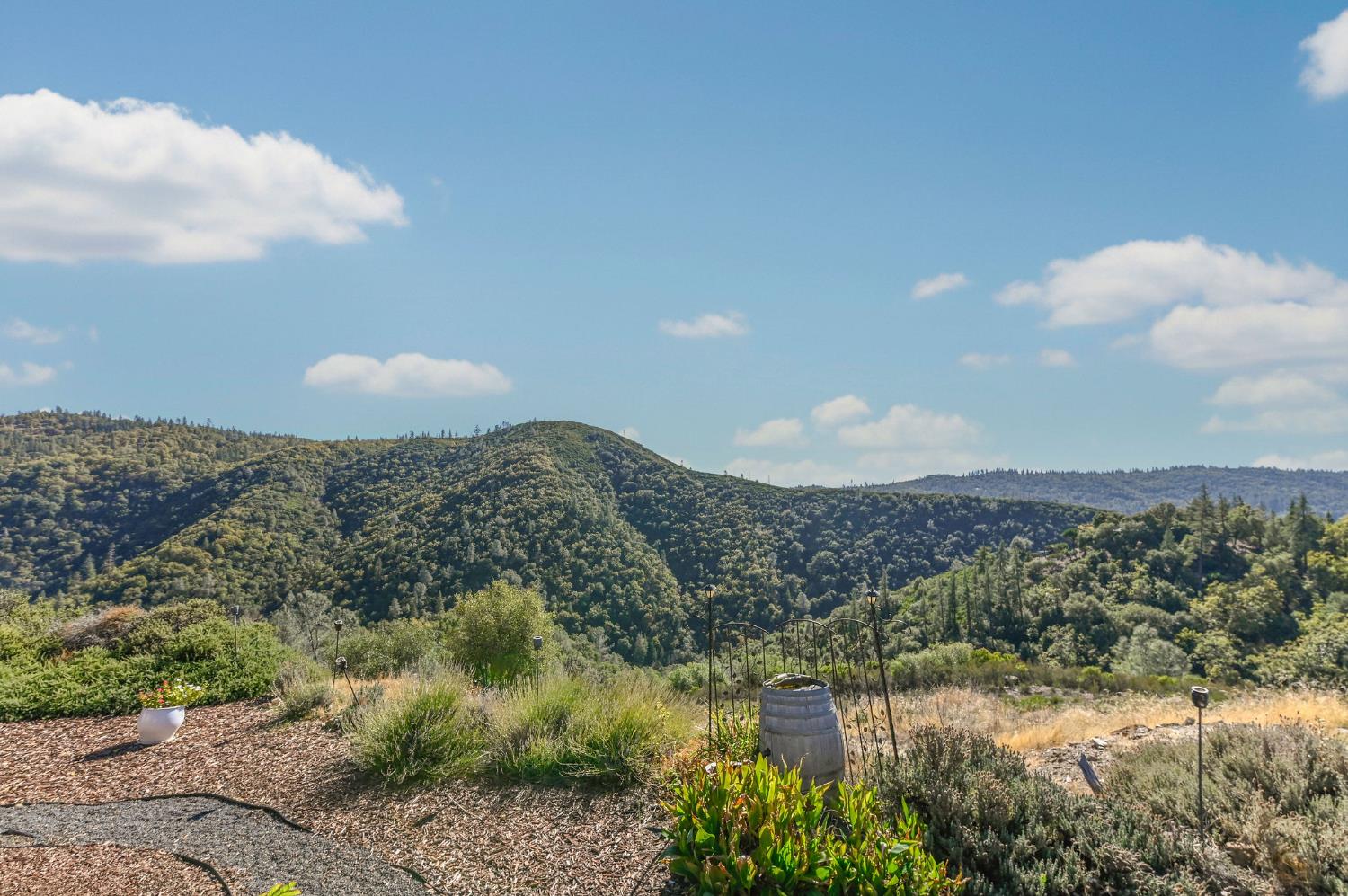 3770 Sheep Ranch Road Murphys, CA 95247 - Photo 57 of 92