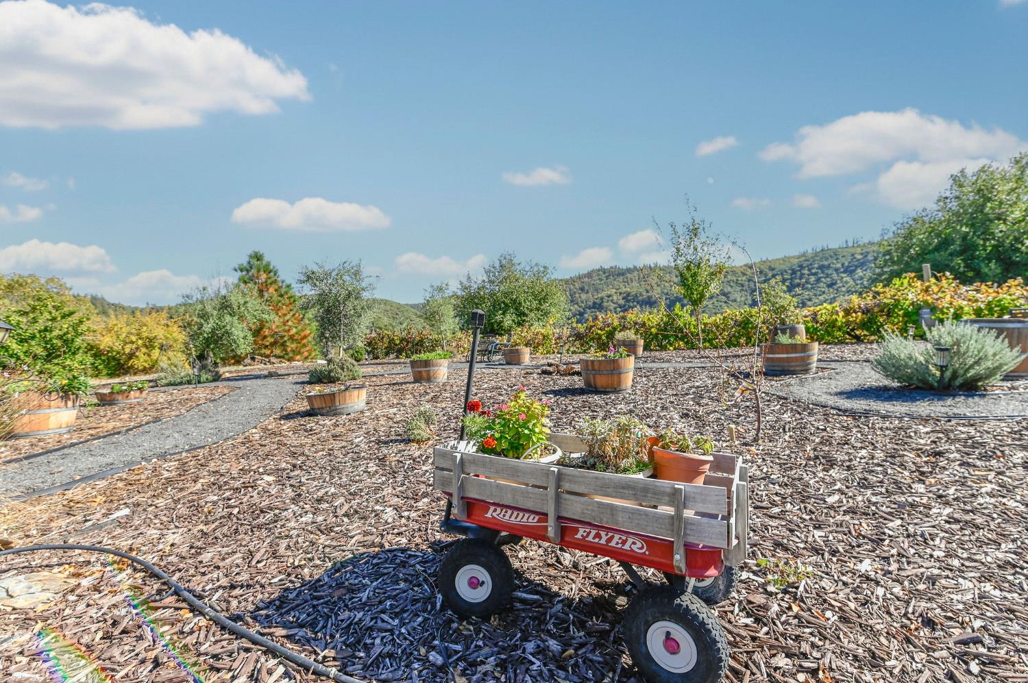 3770 Sheep Ranch Road Murphys, CA 95247 - Photo 61 of 92