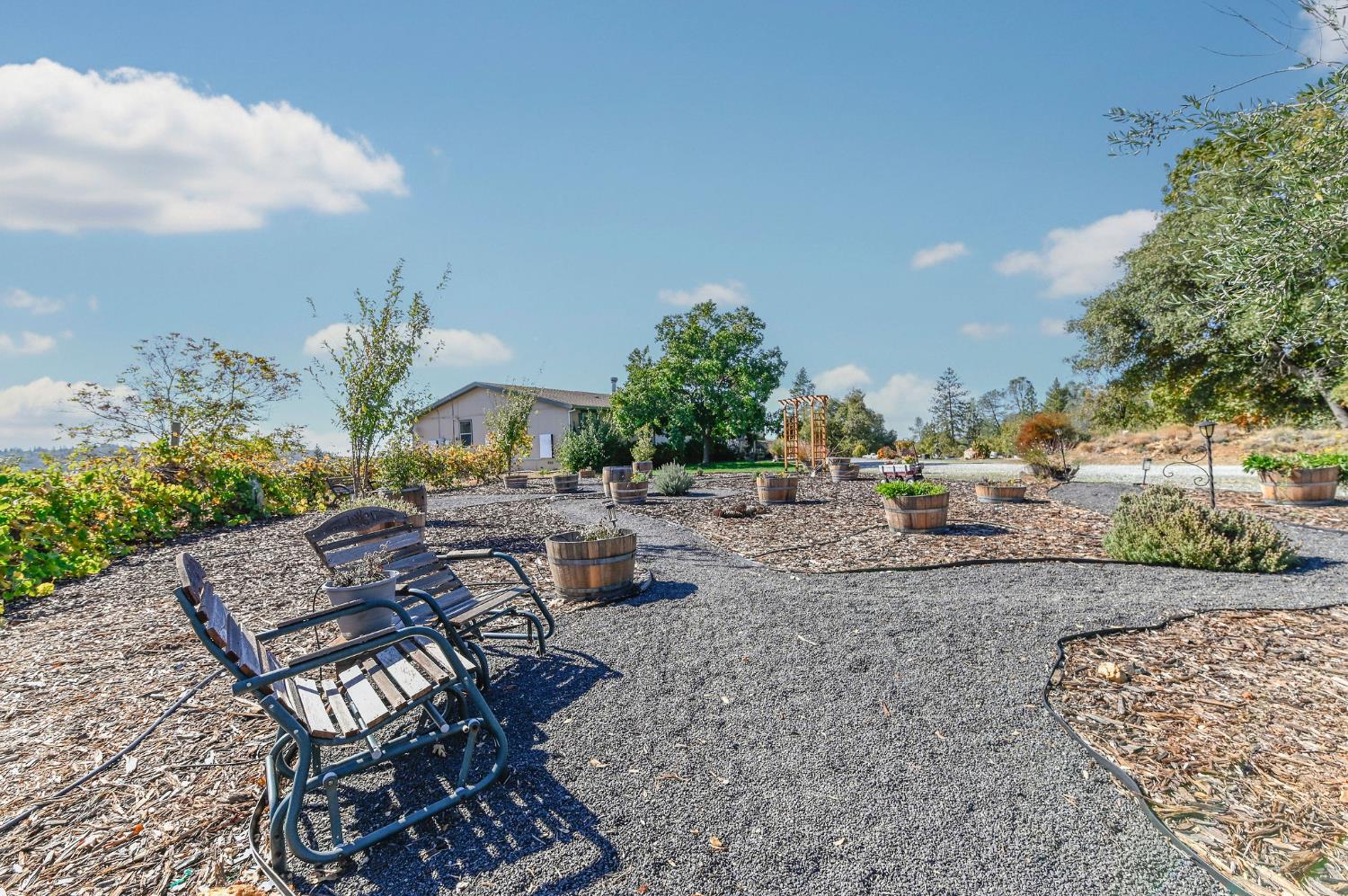 3770 Sheep Ranch Road Murphys, CA 95247 - Photo 63 of 92