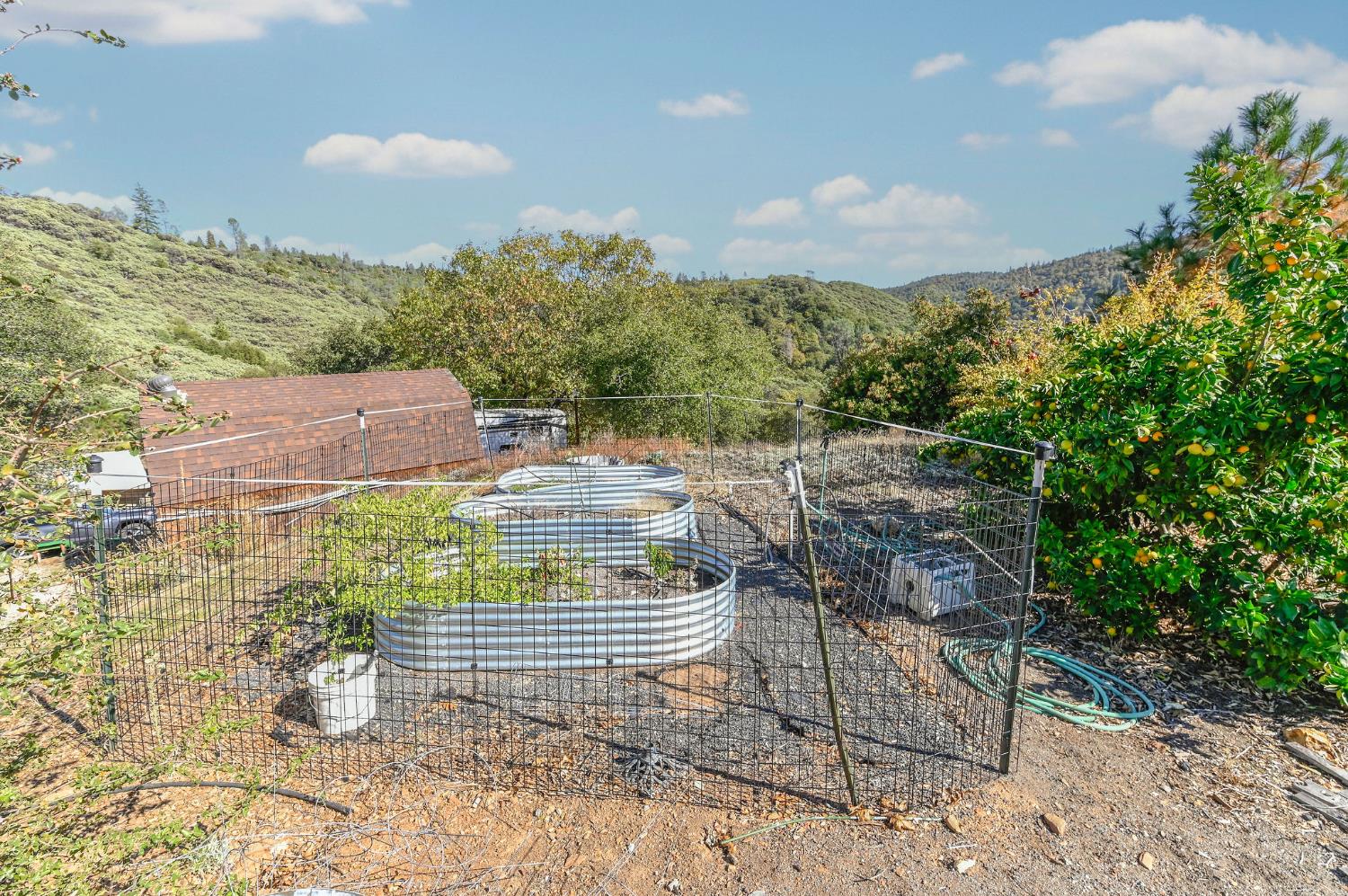 3770 Sheep Ranch Road Murphys, CA 95247 - Photo 65 of 92