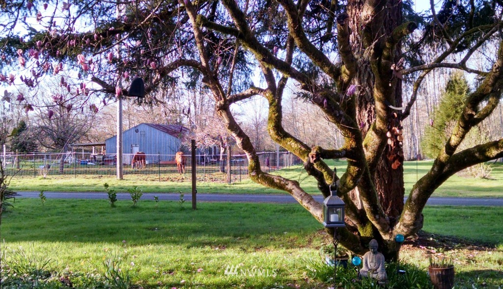 67 Melbourne Road Montesano, WA 98563 - Photo 3 of 25 Gallery Image 3