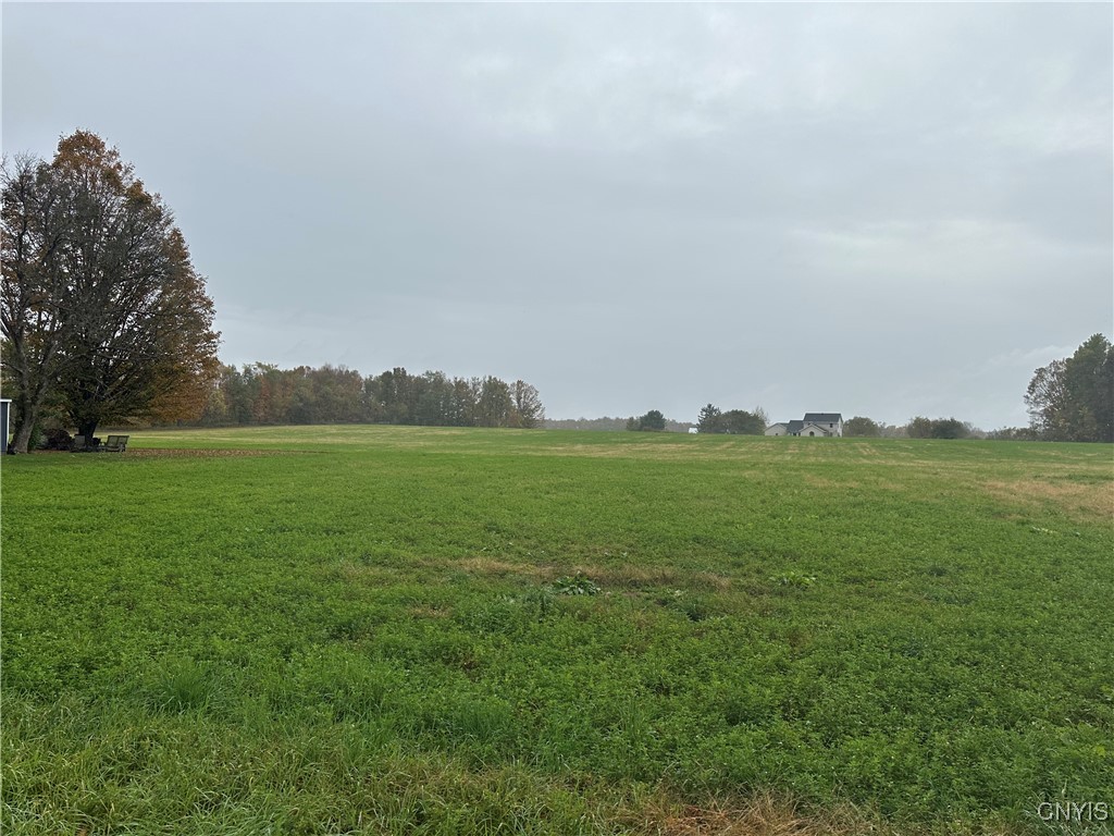 Stokes Lee Center Road Lee Center, NY 13363 - Photo 11 of 21