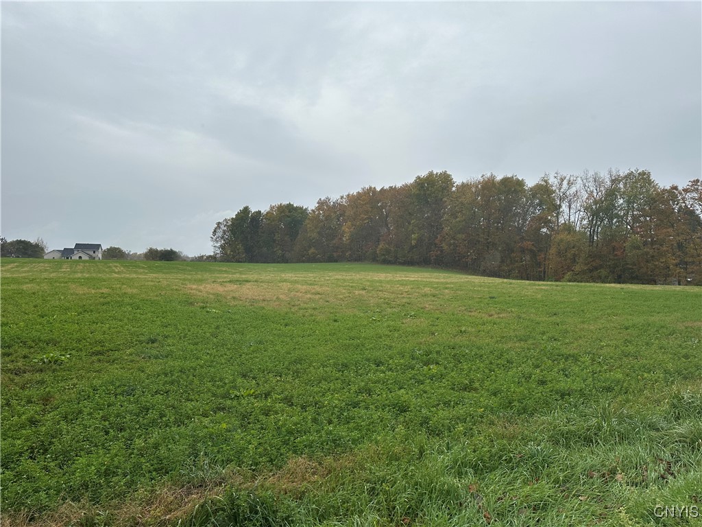 Stokes Lee Center Road Lee Center, NY 13363 - Photo 14 of 21