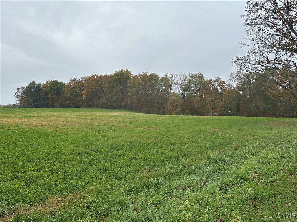 Stokes Lee Center Road Lee Center, NY 13363 - Photo 4 of 21